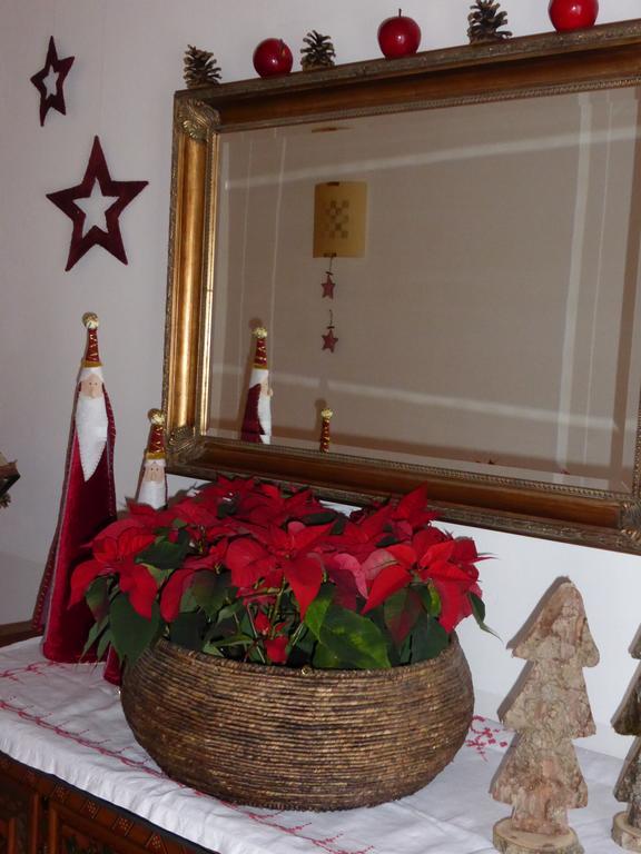Gaestehaus Larch อัลพ์บาค ภายนอก รูปภาพ