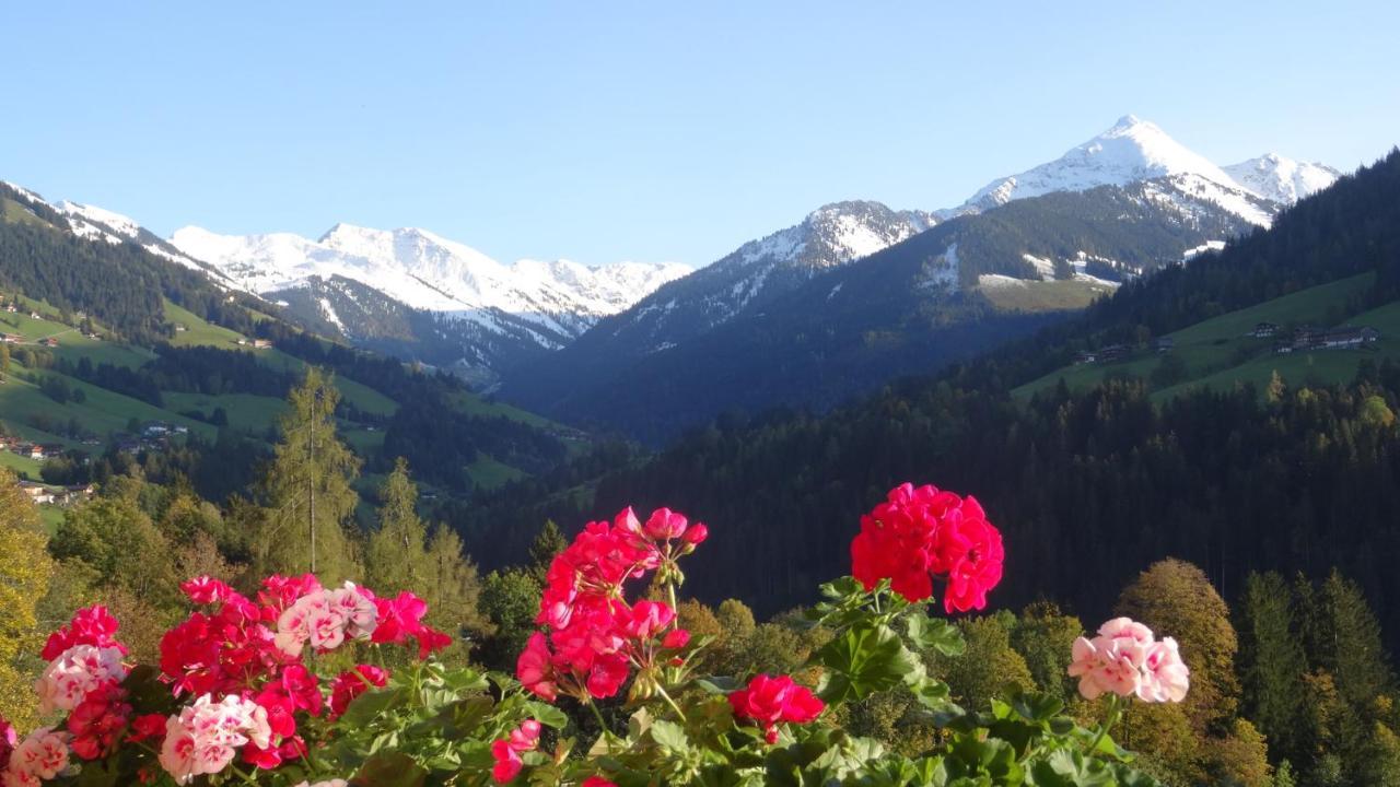 Gaestehaus Larch อัลพ์บาค ภายนอก รูปภาพ