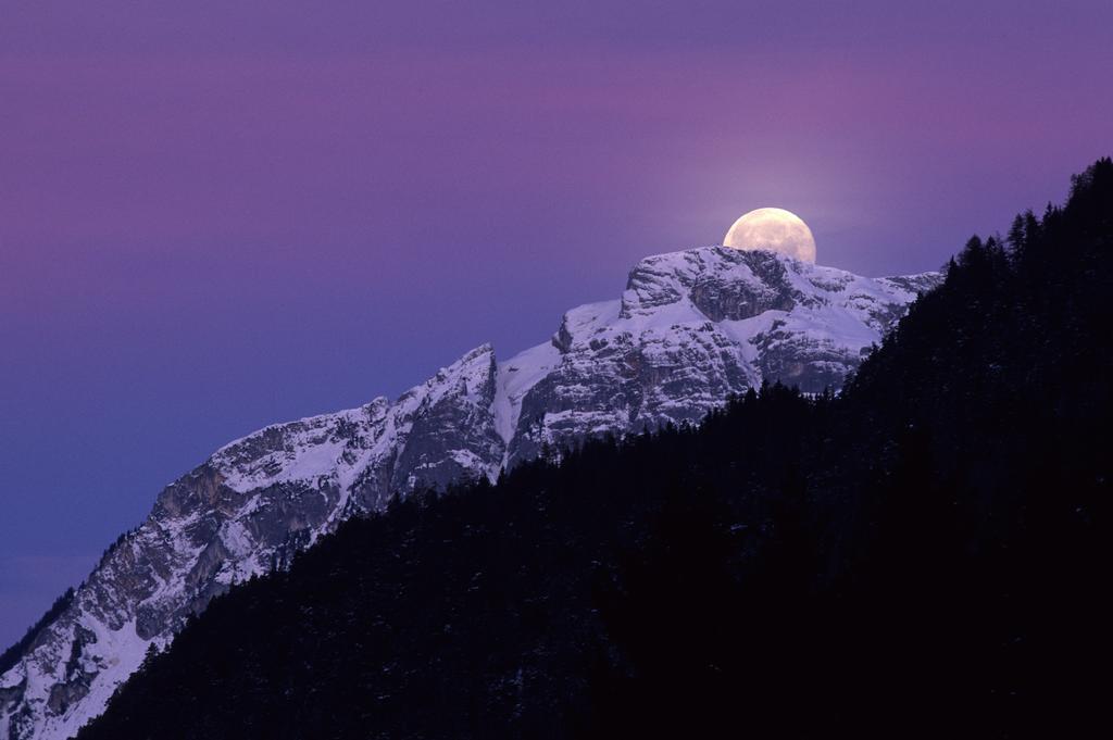 Gaestehaus Larch อัลพ์บาค ภายนอก รูปภาพ